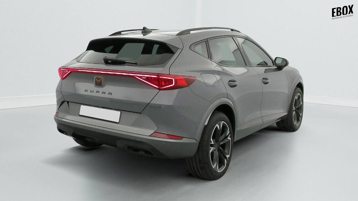 397207_p2 - CUPRA - FORMENTOR - 2023 - photo 7