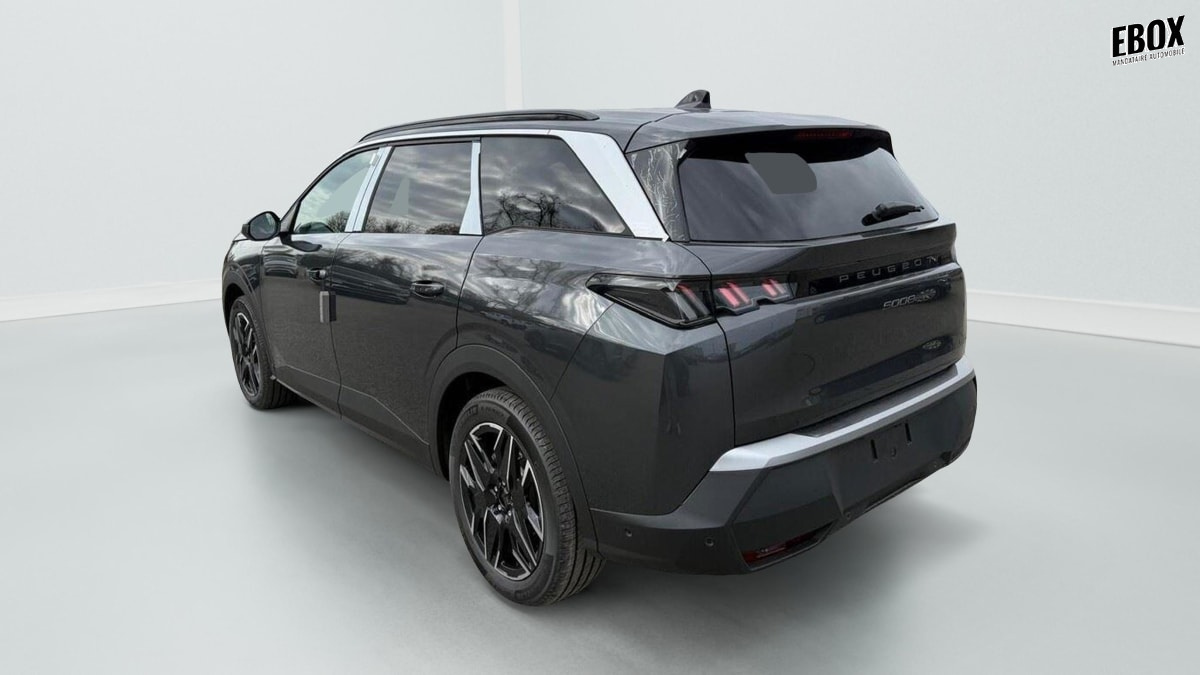 392461_p2 - PEUGEOT - 5008 - 2026 - photo 4
