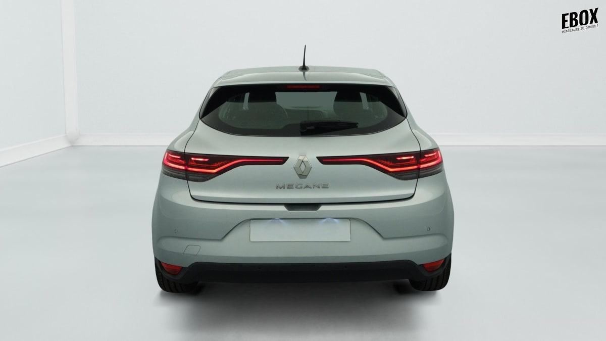 393871_p2 - RENAULT - MEGANE - 2022 - photo 6