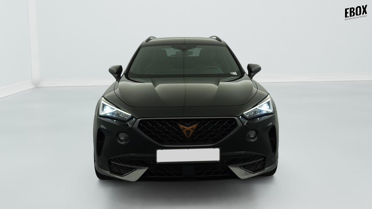 388549_p2 - CUPRA - FORMENTOR - 2022 - photo 2