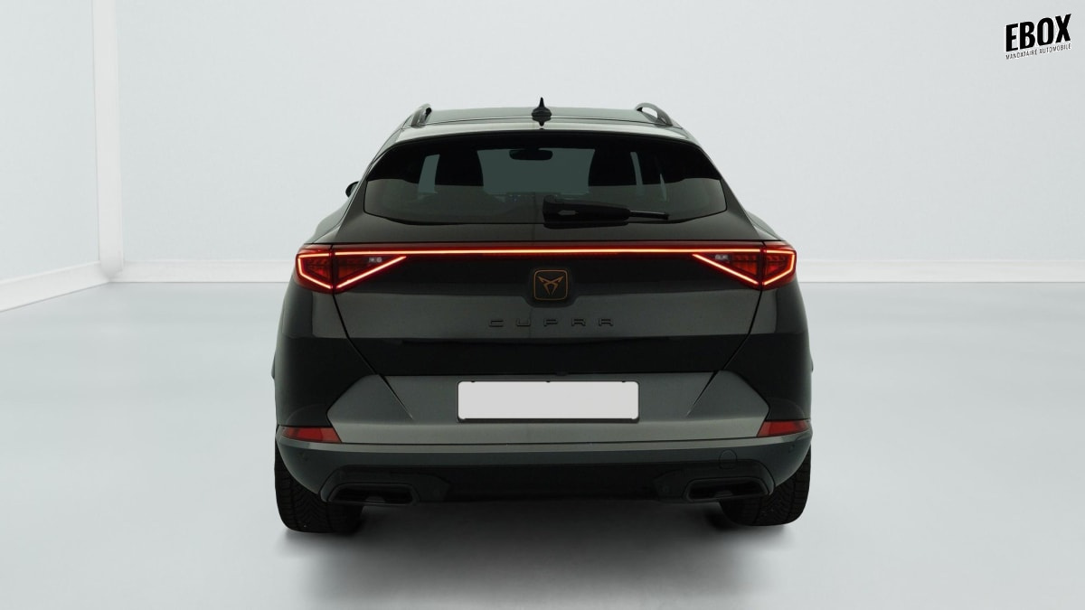 388549_p2 - CUPRA - FORMENTOR - 2022 - photo 6