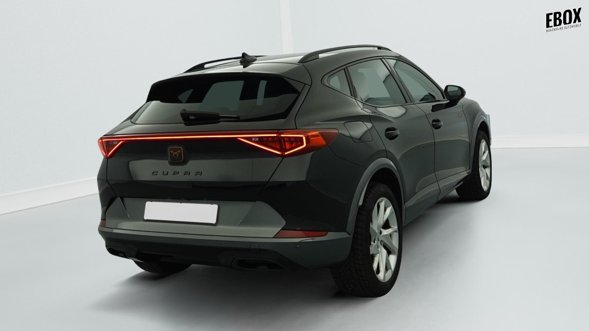 388549_p2 - CUPRA - FORMENTOR - 2022 - photo 7
