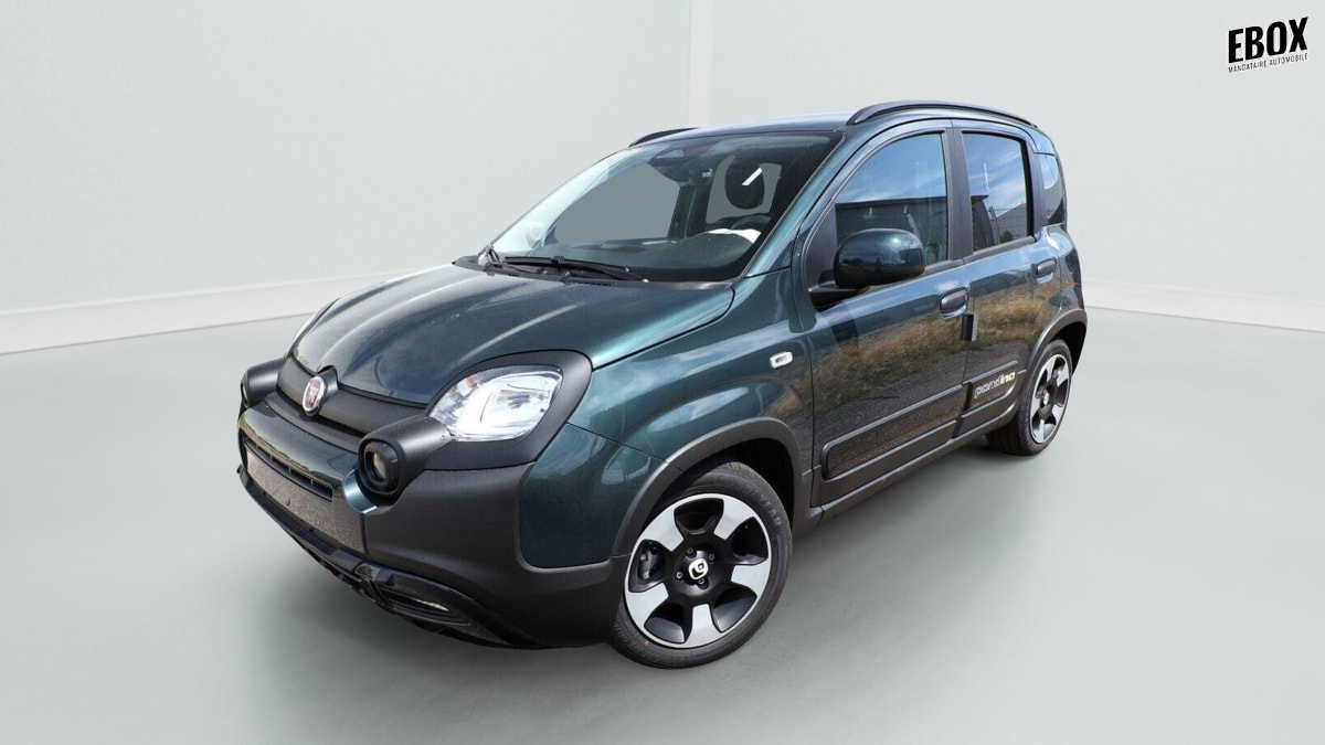 405581_p2 - FIAT - PANDA - 2026 - photo 2