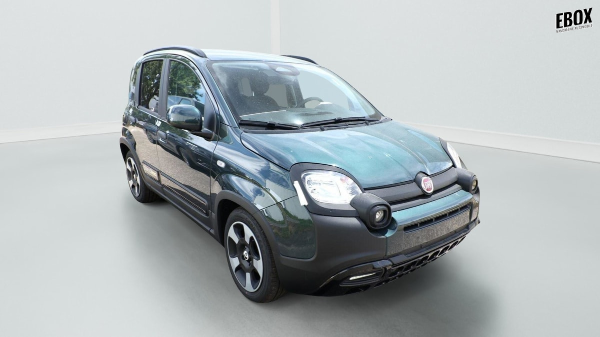 405581_p2 - FIAT - PANDA - 2026 - photo 1