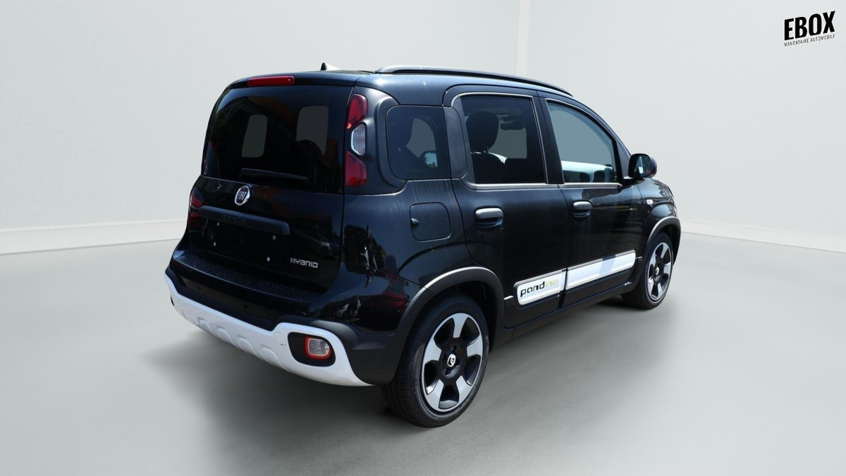 405997_p2 - FIAT - PANDA - 2026 - photo 3