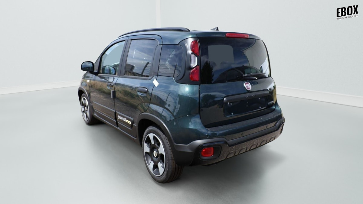 405581_p2 - FIAT - PANDA - 2026 - photo 4
