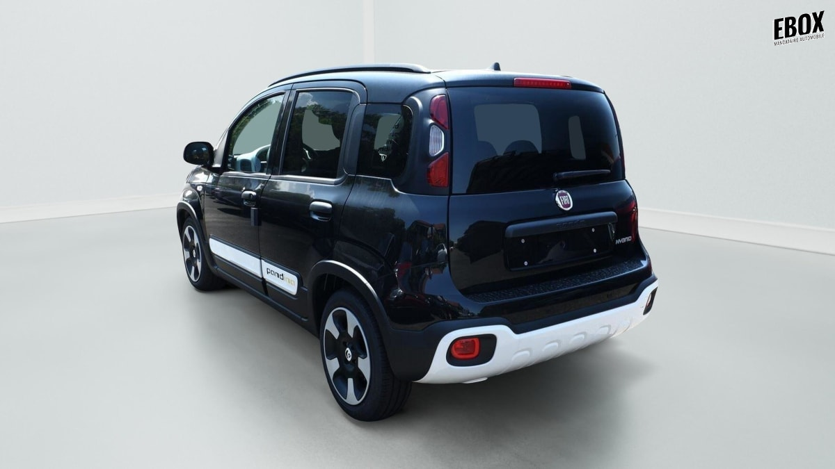 405997_p2 - FIAT - PANDA - 2026 - photo 4