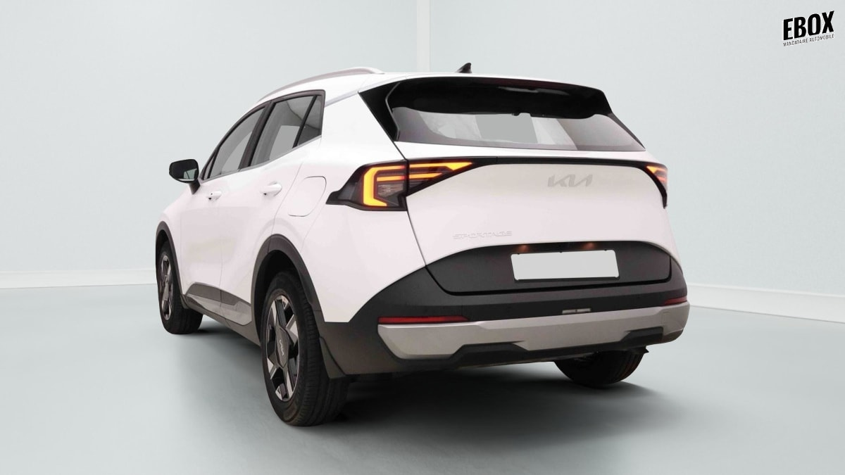377169_p2 - KIA - SPORTAGE - 2026 - photo 3