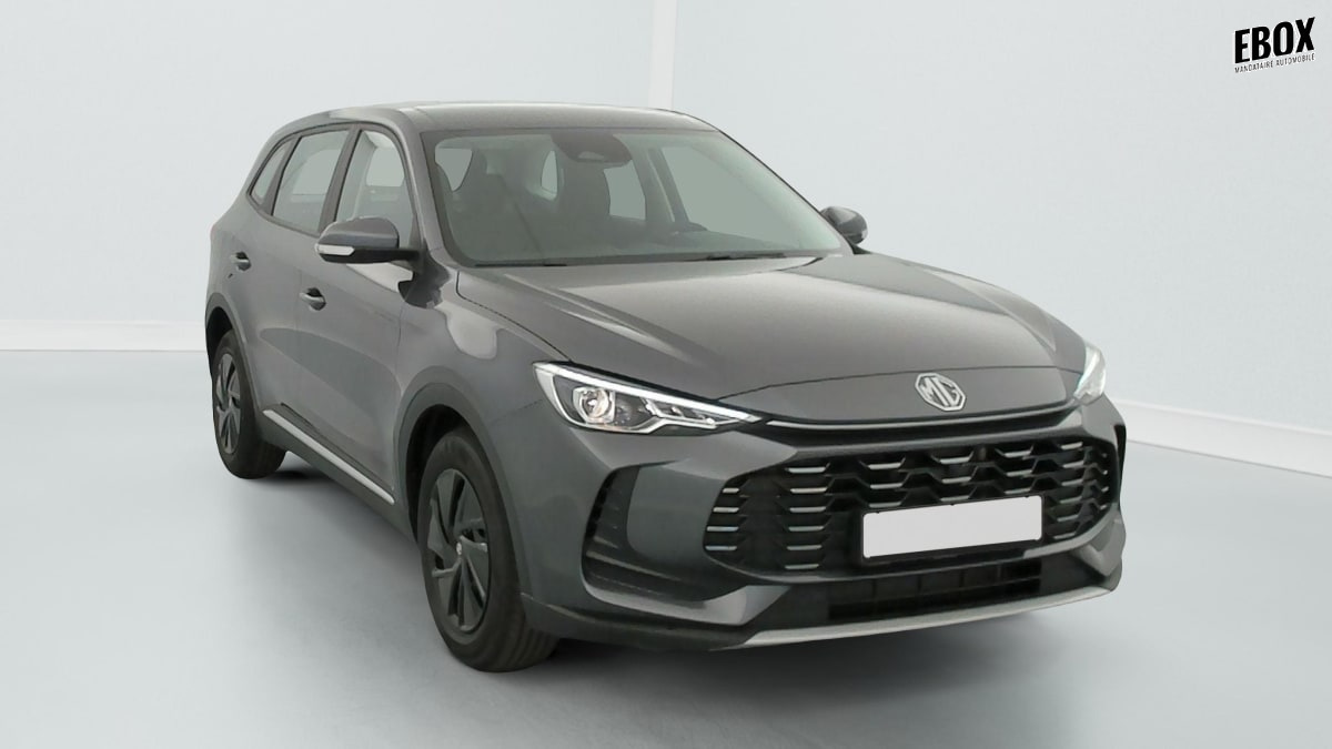 400236_p2 - MG - ZS - 2026 - photo 1