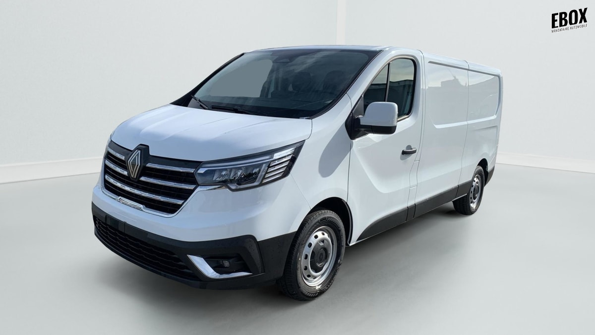 405506_p2 - RENAULT - TRAFIC - 2026 - photo 3