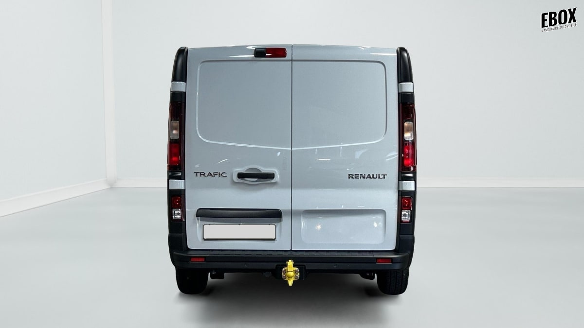 391841_p2 - RENAULT - TRAFIC - 2026 - photo 6