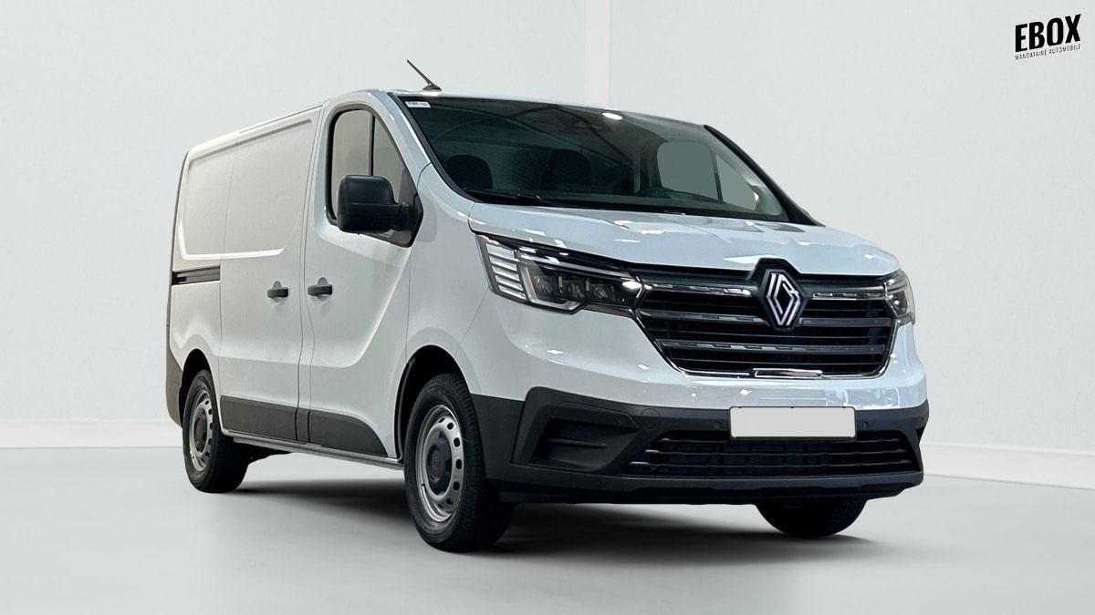 391841_p2 - RENAULT - TRAFIC - 2026 - photo 1