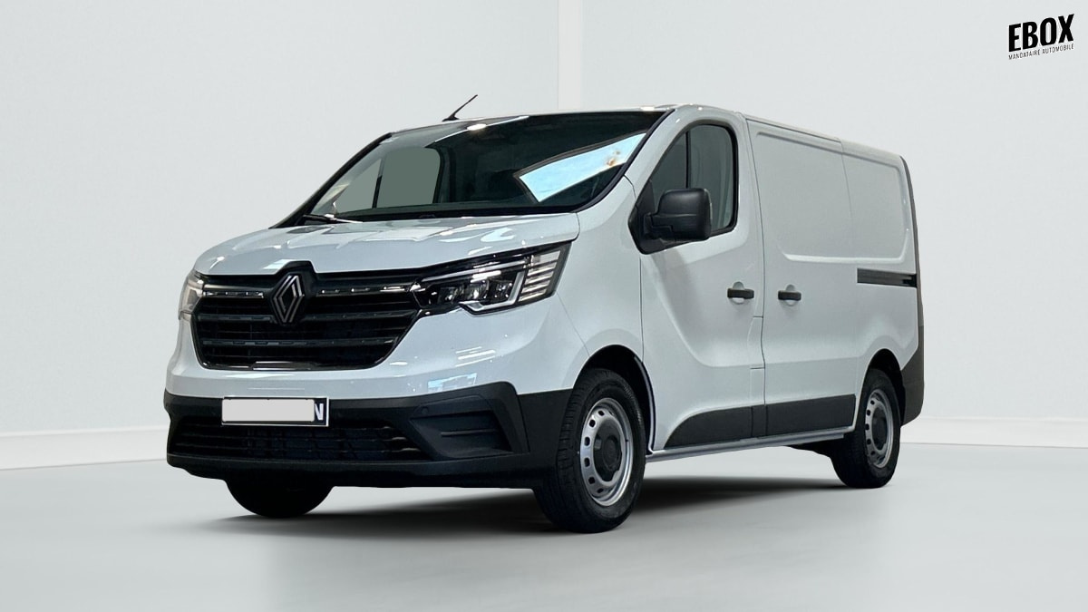 391841_p2 - RENAULT - TRAFIC - 2026 - photo 2