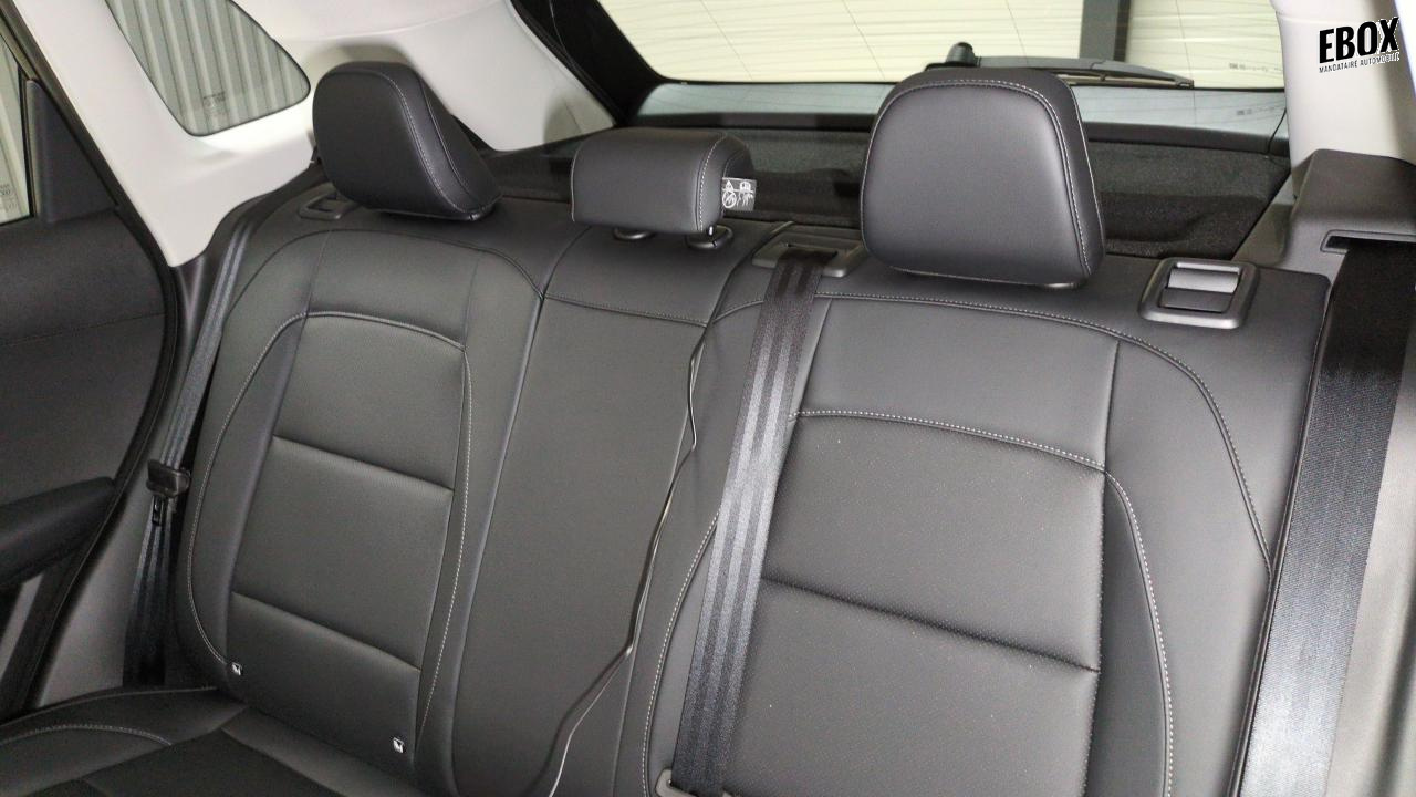 48174_p28 - MG - ZS - 2026 - photo 7