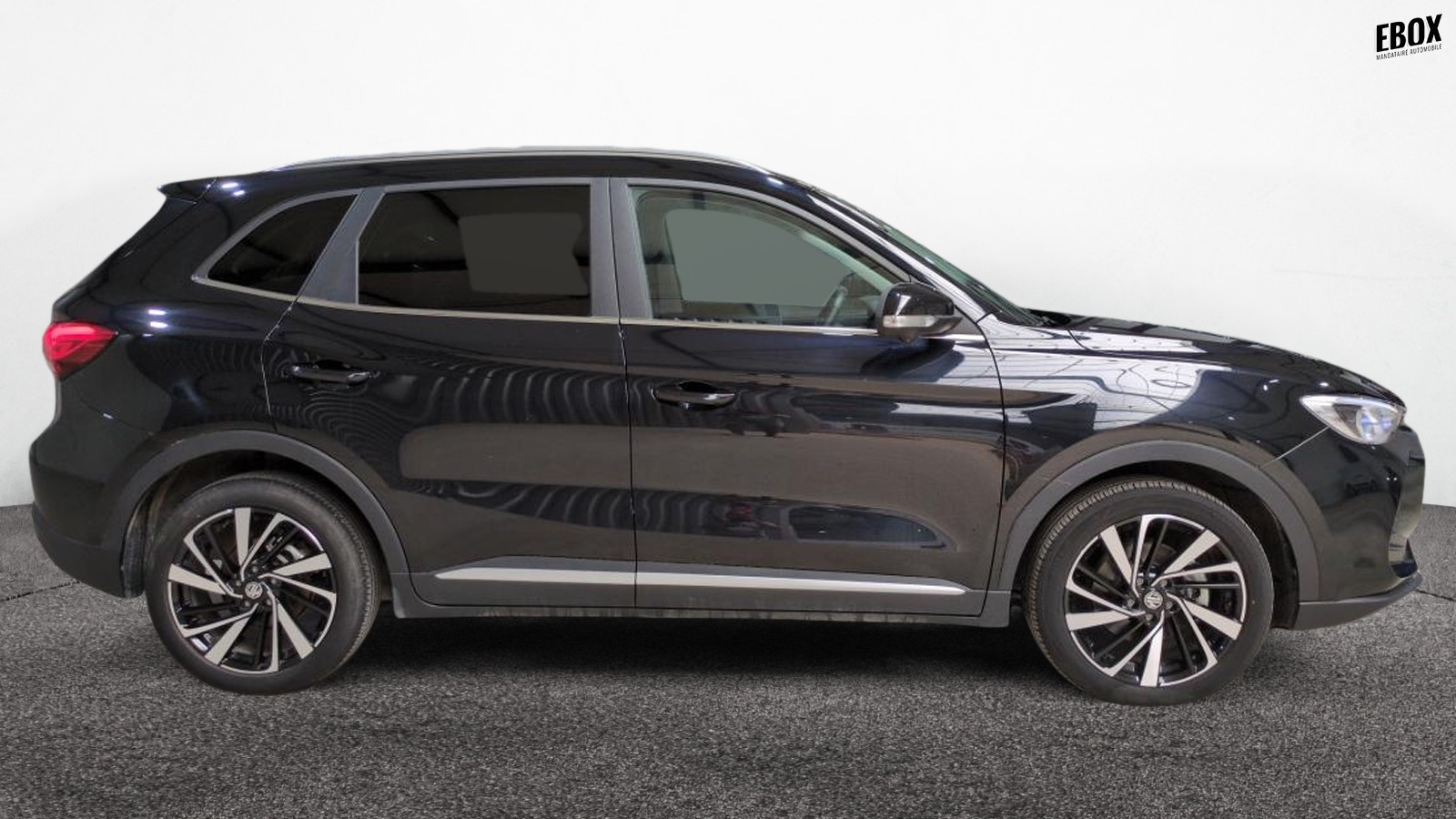 48722_p28 - MG - ZS - 2025 - photo 3