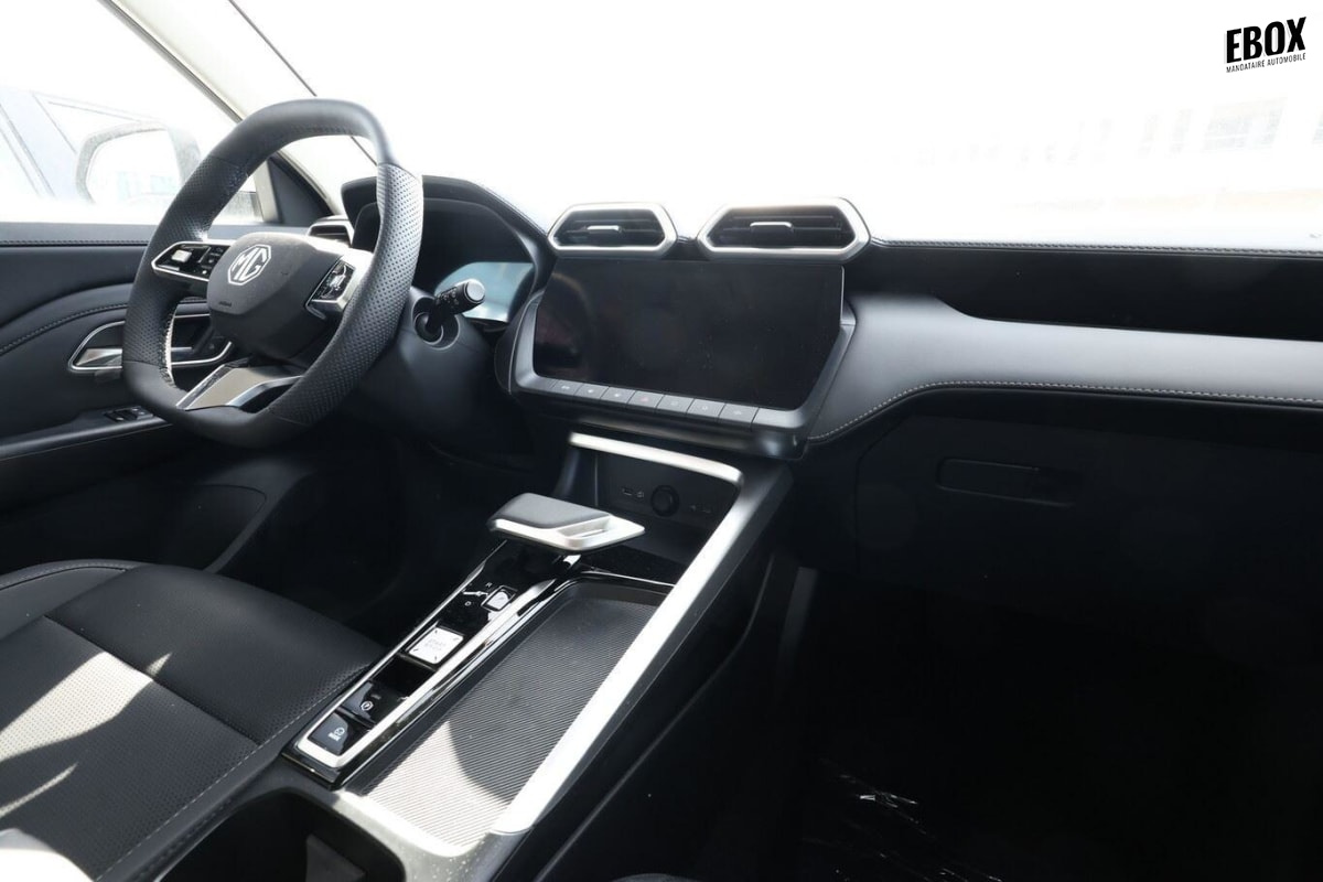 407271_p2 - MG - ZS - 2026 - photo 7