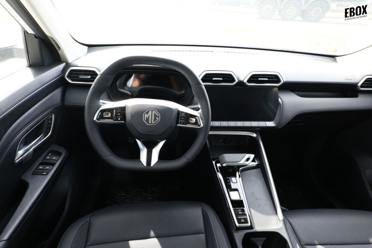 407271_p2 - MG - ZS - 2026 - photo 5