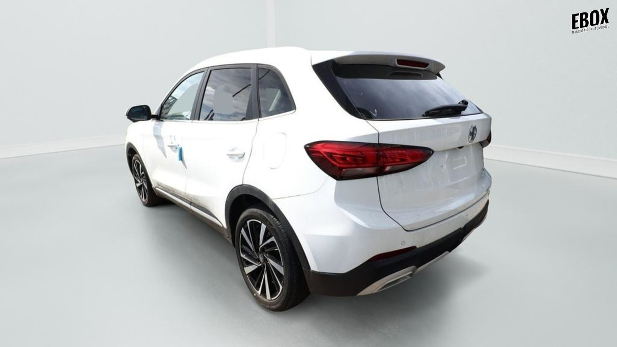 407271_p2 - MG - ZS - 2026 - photo 3