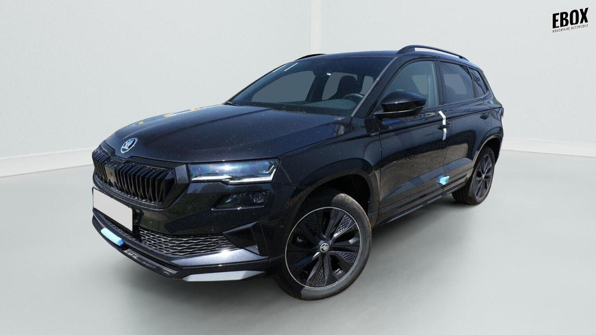 407019_p2 - SKODA - KAROQ - 2026 - photo 2