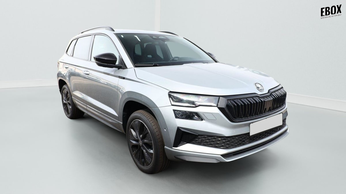 407015_p2 - SKODA - KAROQ - 2026 - photo 1