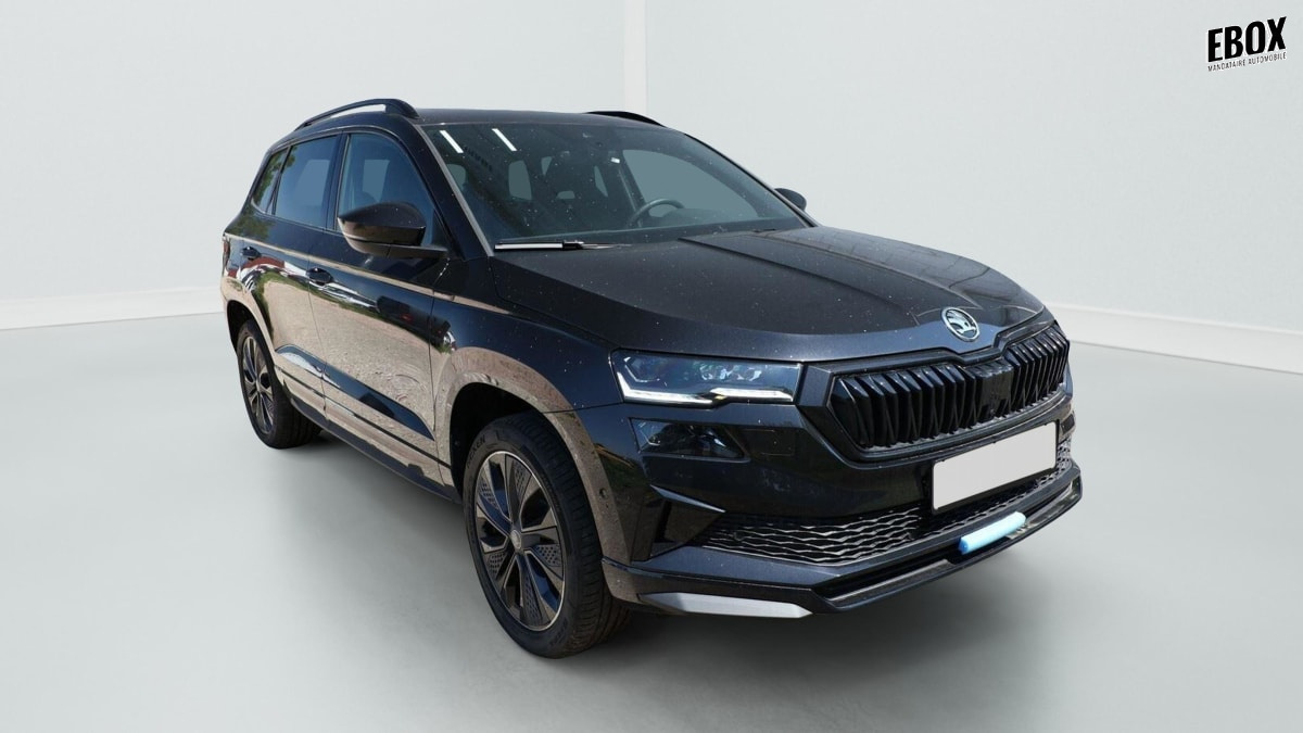 407019_p2 - SKODA - KAROQ - 2026 - photo 1