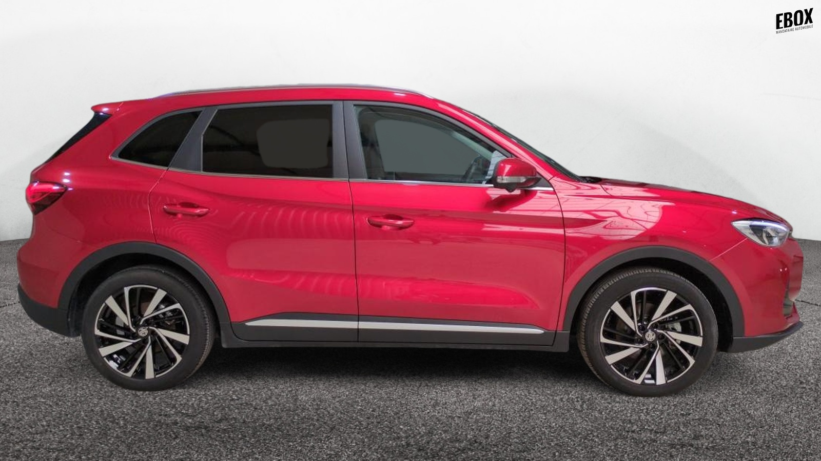 48718_p28 - MG - ZS - 2025 - photo 3