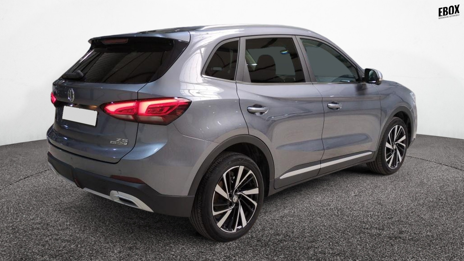 48719_p28 - MG - ZS - 2025 - photo 4