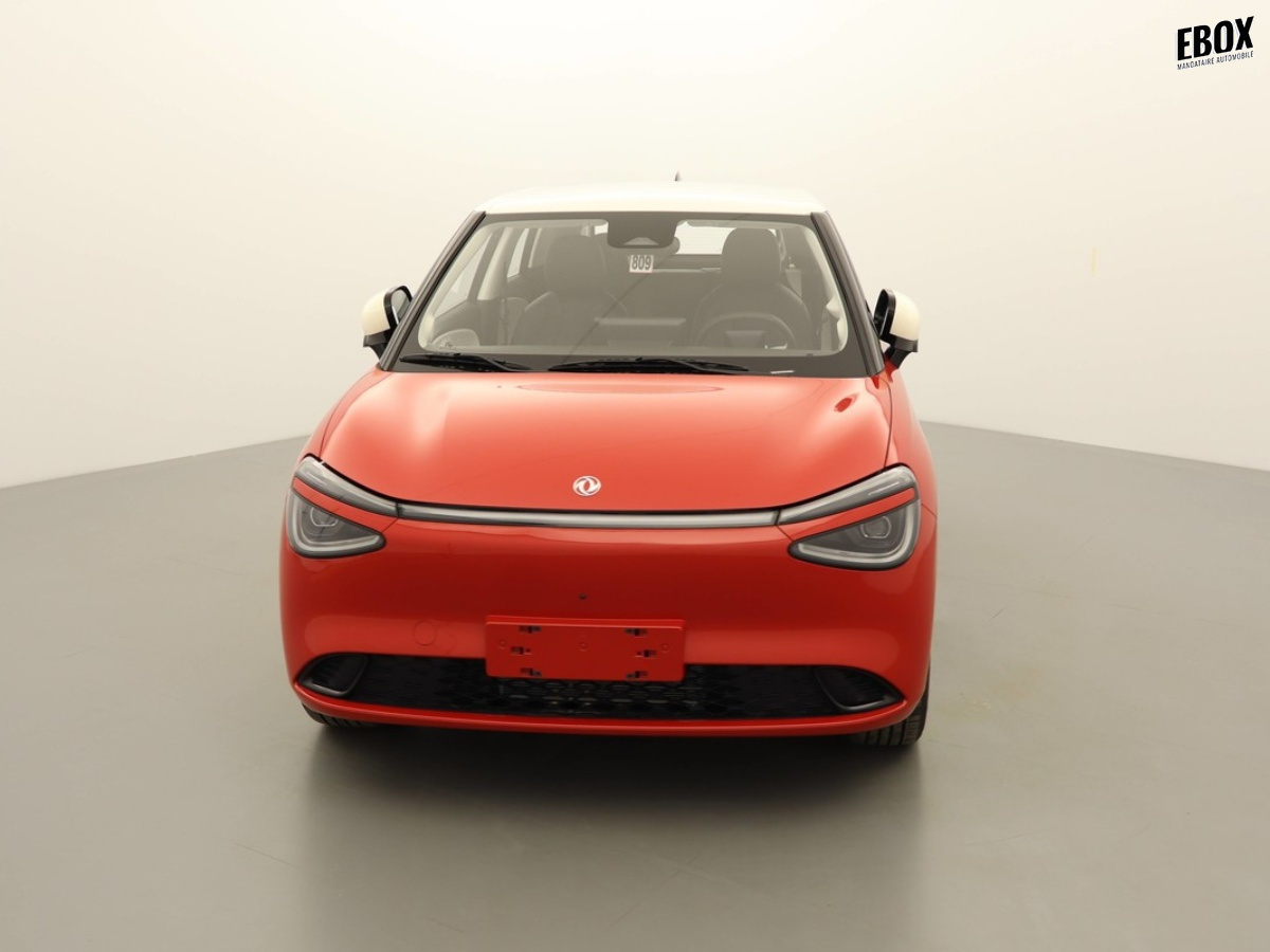 N204053_p3 - DONGFENG - BOX - 2026 - photo 3