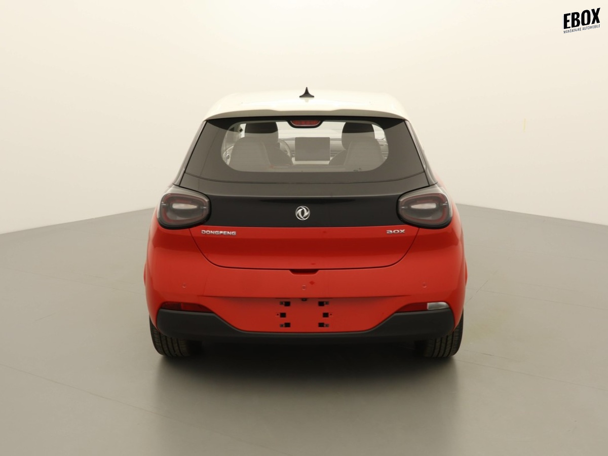 N204053_p3 - DONGFENG - BOX - 2026 - photo 5