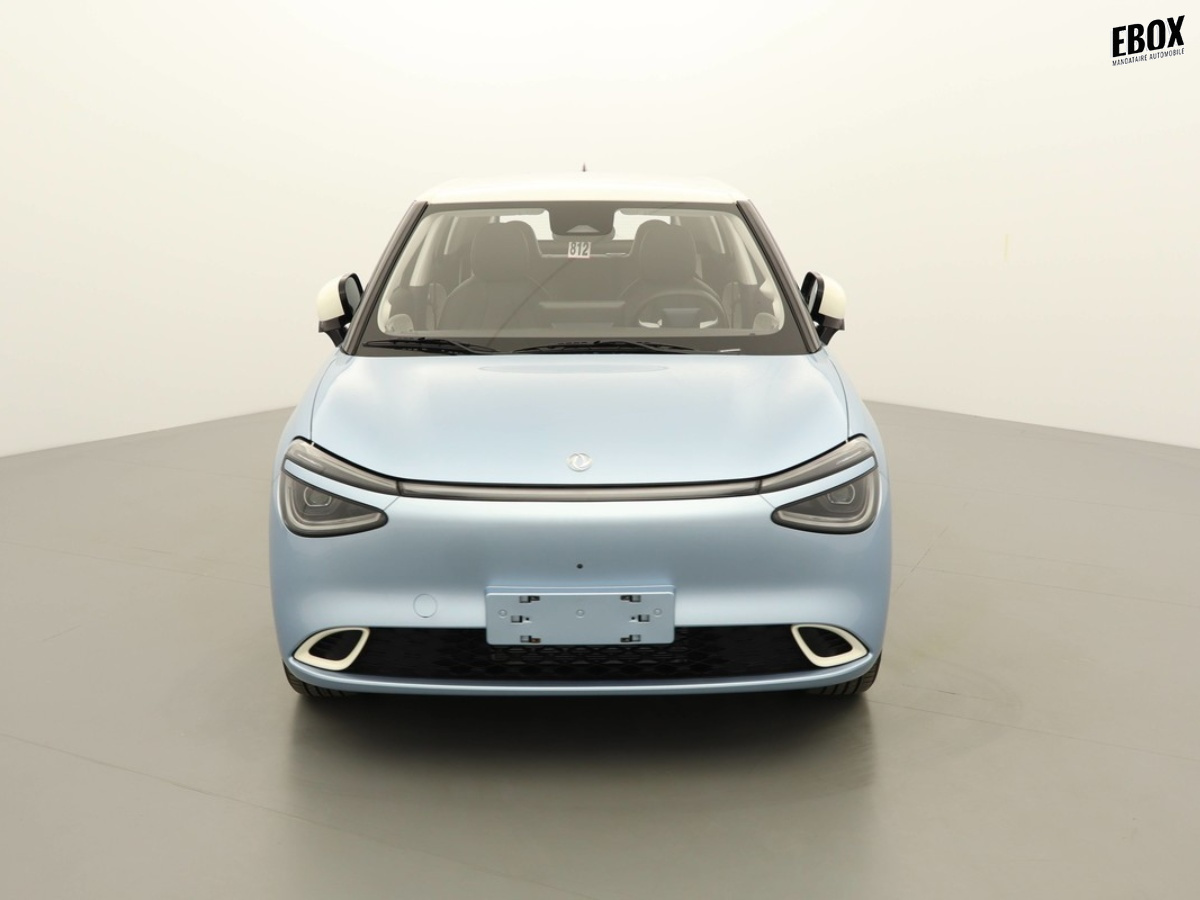 N204057_p3 - DONGFENG - BOX - 2026 - photo 3