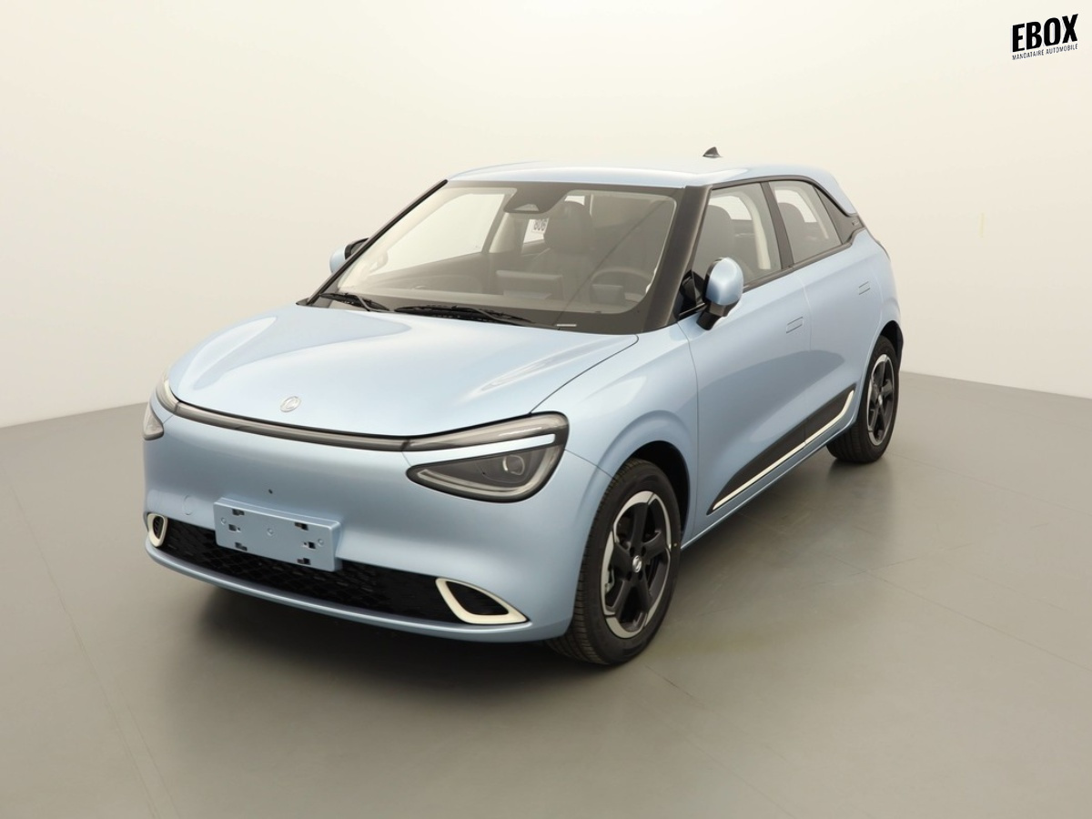 N204055_p3 - DONGFENG - BOX - 2026 - photo 1