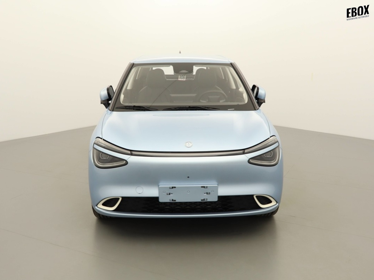N204055_p3 - DONGFENG - BOX - 2026 - photo 3