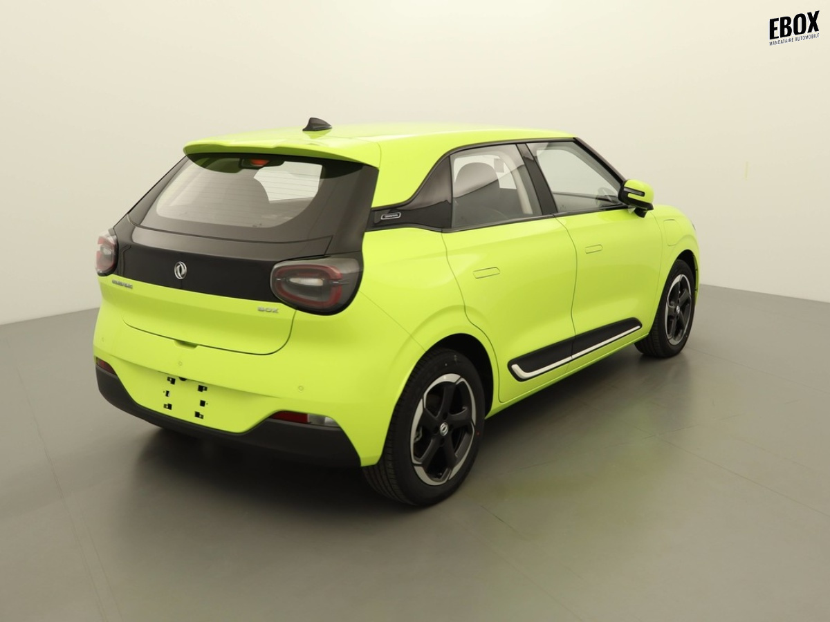 N204059_p3 - DONGFENG - BOX - 2026 - photo 2