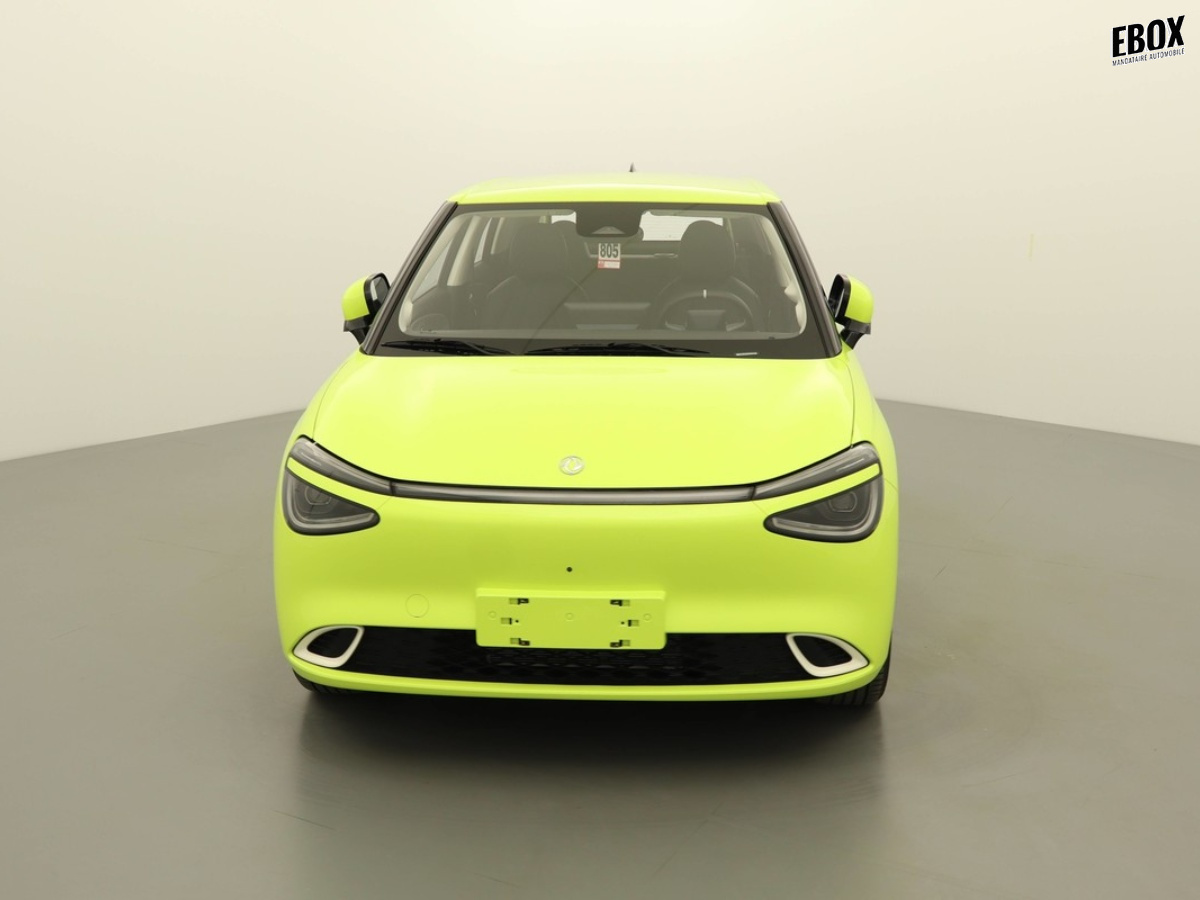 N204059_p3 - DONGFENG - BOX - 2026 - photo 3