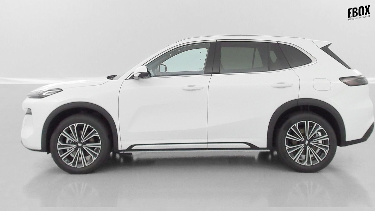 409432_p2 - GEELY - STARRAY - 2026 - photo 4