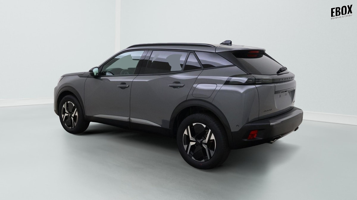410323_p2 - PEUGEOT - 2008 - 2026 - photo 8