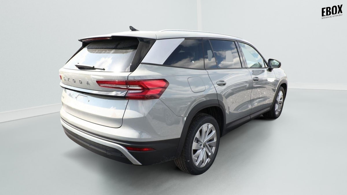 386296_p2 - SKODA - KODIAQ - 2026 - photo 3