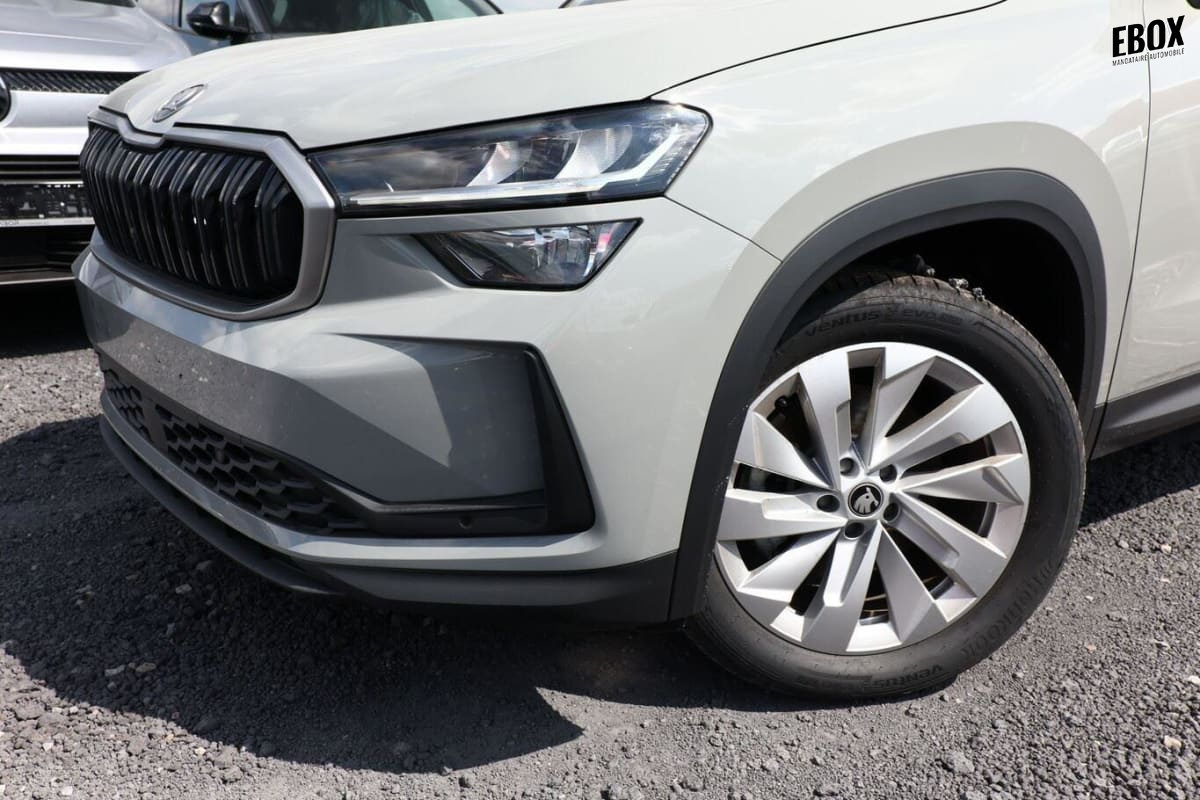 386296_p2 - SKODA - KODIAQ - 2026 - photo 5