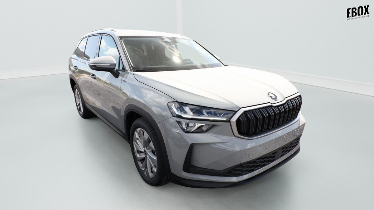 386296_p2 - SKODA - KODIAQ - 2026 - photo 2