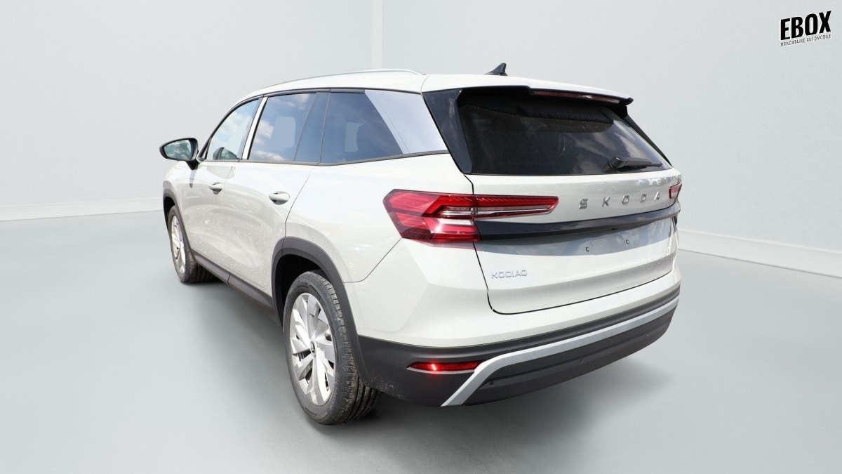 386296_p2 - SKODA - KODIAQ - 2026 - photo 4