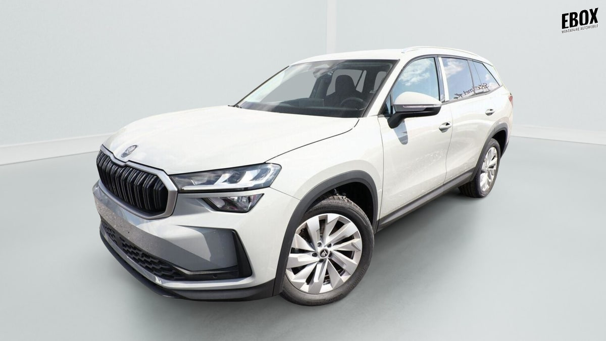 386296_p2 - SKODA - KODIAQ - 2026 - photo 1