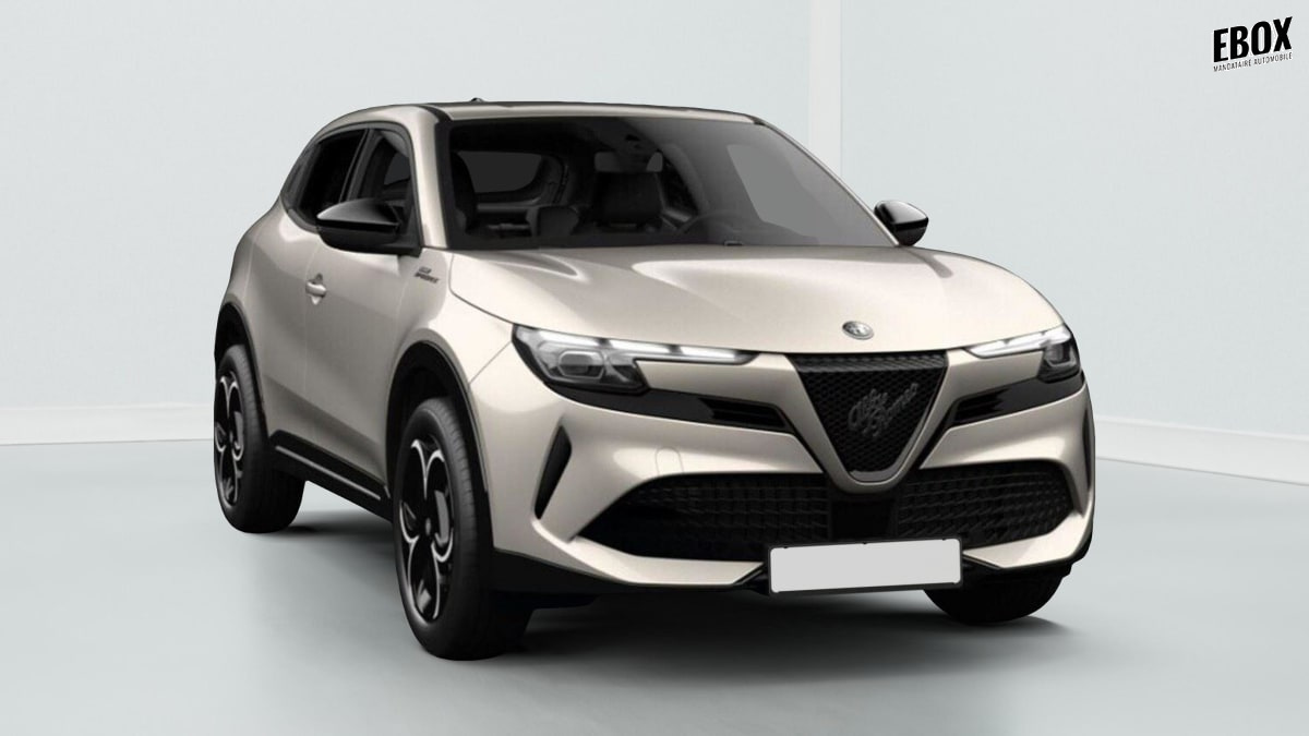 412934_p2 - ALFA ROMEO - JUNIOR - 2026 - photo 2