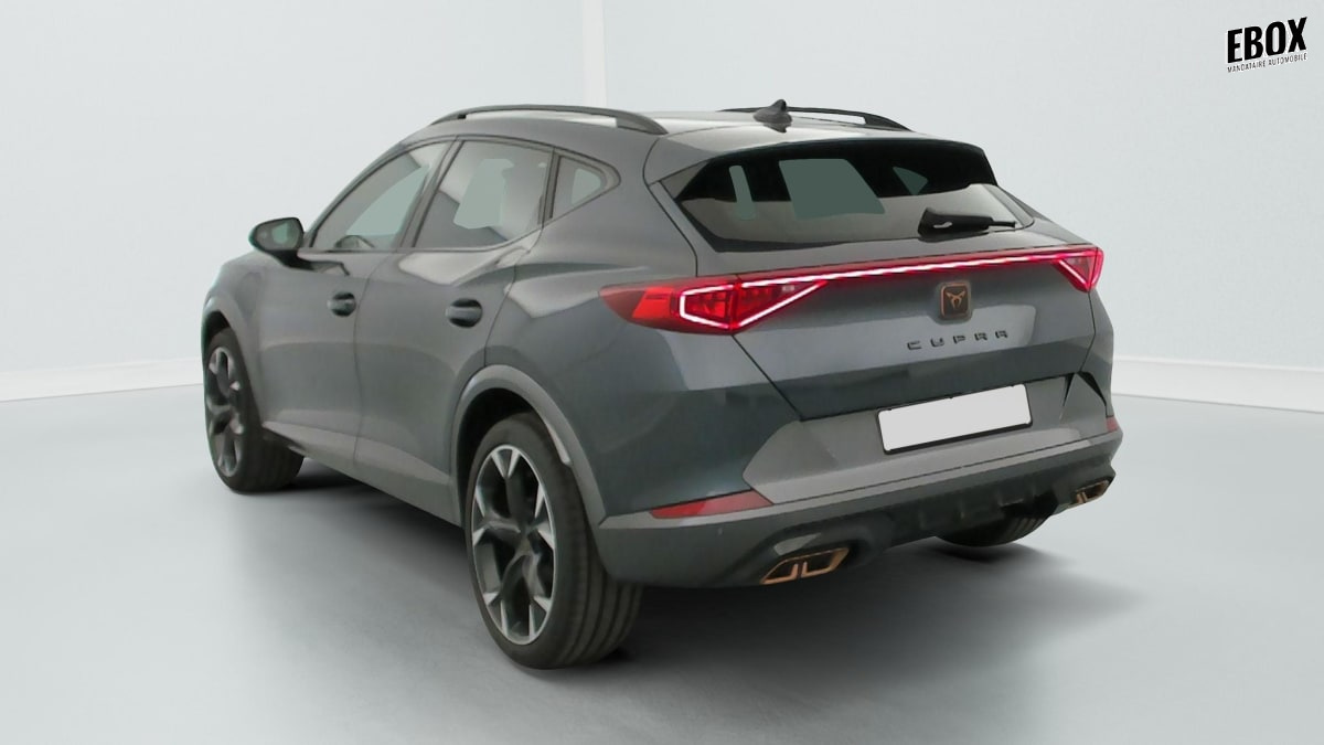 405930_p2 - CUPRA - FORMENTOR - 2024 - photo 5