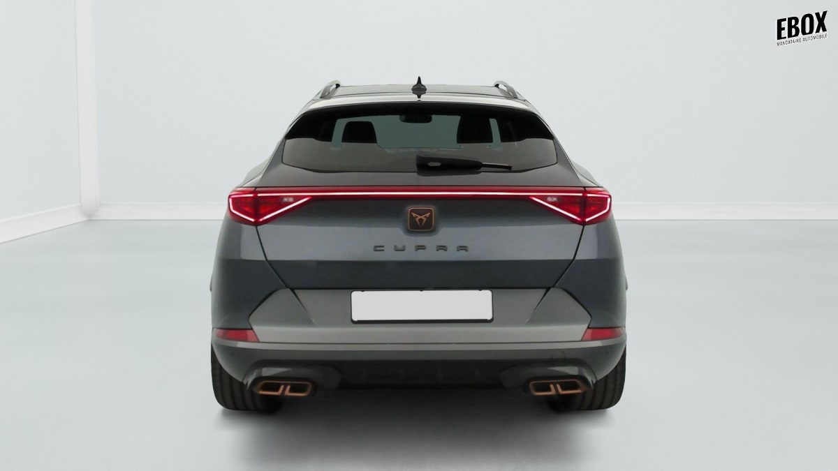 405930_p2 - CUPRA - FORMENTOR - 2024 - photo 6