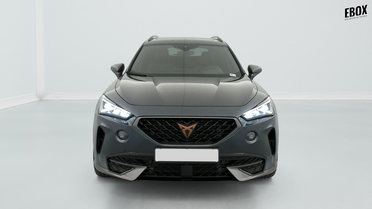 405930_p2 - CUPRA - FORMENTOR - 2024 - photo 2