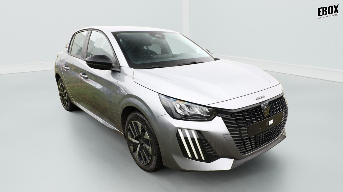 412081_p2 - PEUGEOT - 208 - 2026 - photo 1