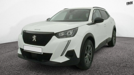 228816_p28 - PEUGEOT - 2008 - 2022