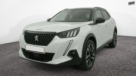228819_p28 - PEUGEOT - 2008 - 2021