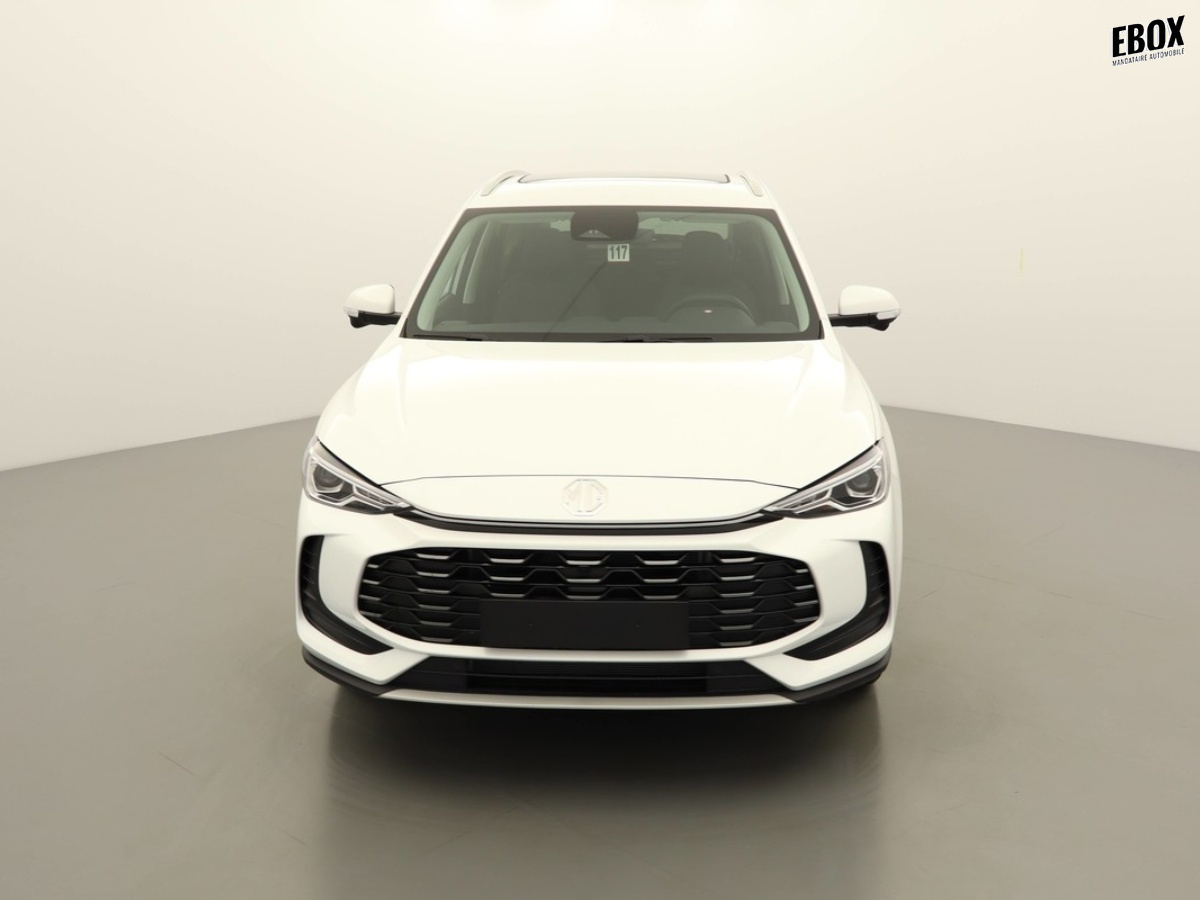 N204007_p3 - MG - ZS - 2026 - photo 3