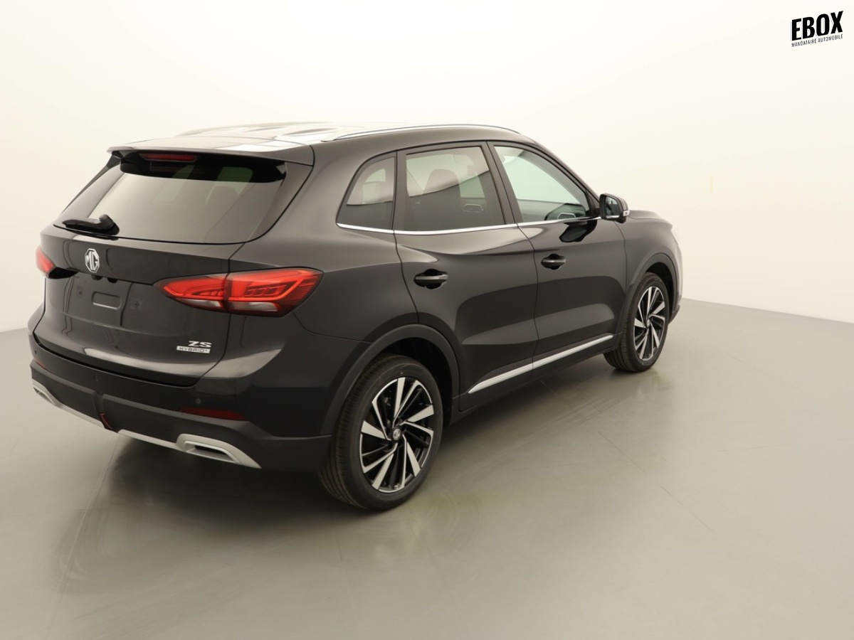 N204010_p3 - MG - ZS - 2026 - photo 2